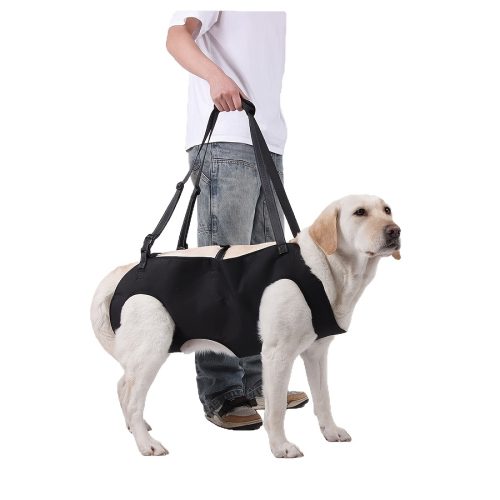Elderly Dog Rehabilitation Auxiliary Chest And Back Strap, Breathable Post-Operative Assistance Harness, Easy to Put on And Take Off Pet Vest, 5 Hole Positions
