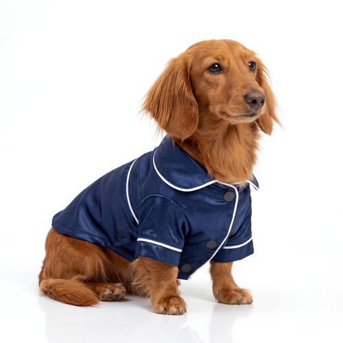 Pet French-Style Pajamas, Springu002FSummer Homewear for Dogs and Cats, Pet Clothes for Small Breeds Like French Bulldogs, Corgis, Dachshunds, Poodles, Bichons, Pomeranians, and Cats