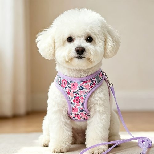 Adjustable Dog Harness and Leash System with Soft Mesh Vest Suitable for Small Pets - No-Pull Harness for Puppies & Kittens, Leash Compatible for Dogs and Cats, Pulling During Walking, Hand Washable Design