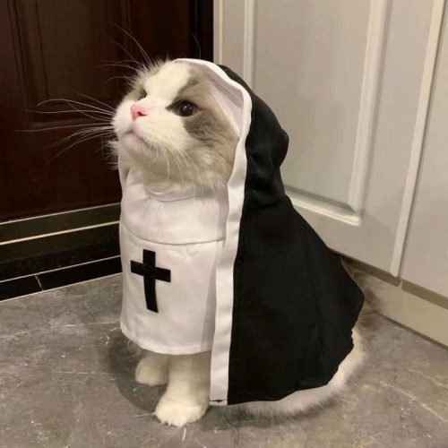 Cute and Funny Dog and Cat Nun Costume for Cosplay and Photo Props